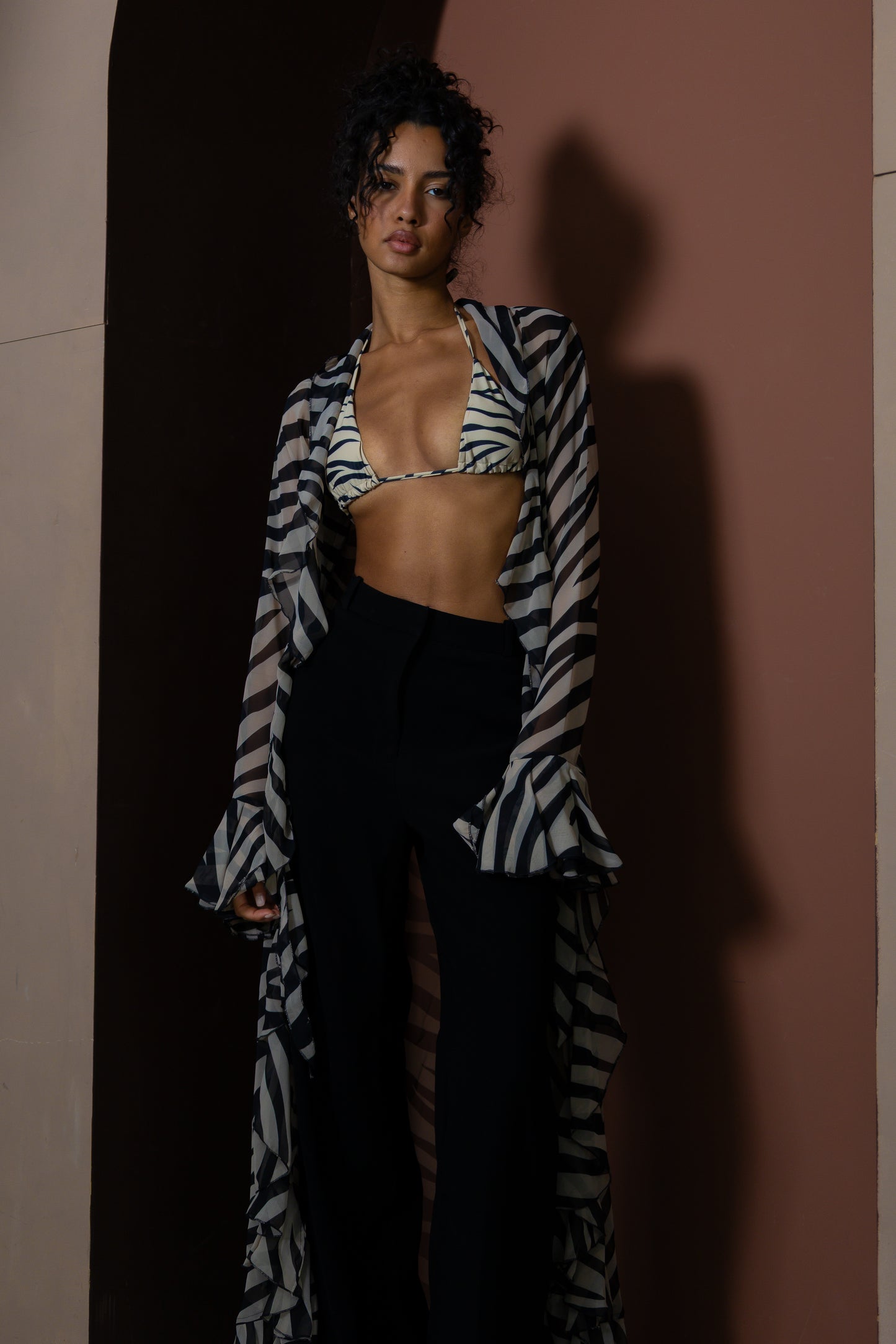 Le Zèbre - PRE ORDER